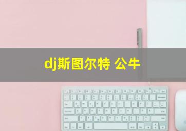 dj斯图尔特 公牛